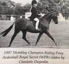 Ardenhall Royal Secret - Show Pony